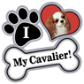 Cavalier thumbnail