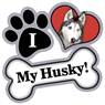 Husky thumbnail
