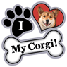 Corgi thumbnail