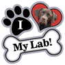 Lab (chocolate) thumbnail