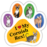 Cornish Rex thumbnail