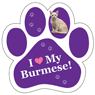 Burmese thumbnail