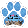 Tonkinese thumbnail