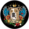 Pit Bull thumbnail