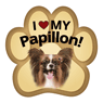 Papillon thumbnail