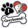 Greyhound thumbnail