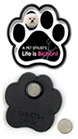 A Pet Stylist's Life is Bichon! thumbnail