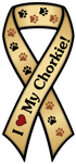 Chorkie thumbnail