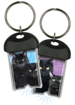 Black Cat thumbnail