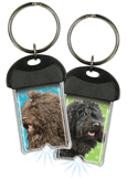 Barbet thumbnail
