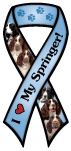 Springer Spaniel thumbnail