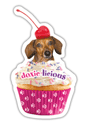 Doxie-licious thumbnail