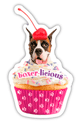 Boxer-Licioius thumbnail