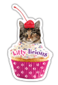 Kitty-licious thumbnail