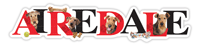 Airedale thumbnail