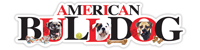 American Bulldog thumbnail