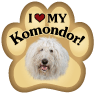 Komondor thumbnail
