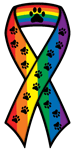 Rainbow thumbnail