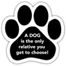 A dog - only relative thumbnail