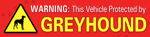Bumper-Vehicle Protected by Greyhound thumbnail
