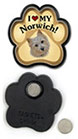 Norwich Terrier thumbnail