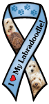 Labradoodle thumbnail