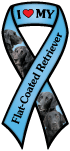 Flat-Coated Retriever thumbnail