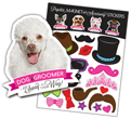 Groomer (poodle) thumbnail