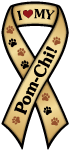 Pom-Chi thumbnail