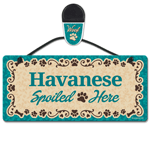 Havanese thumbnail