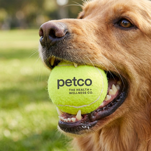 PET102_1775047778.jpg