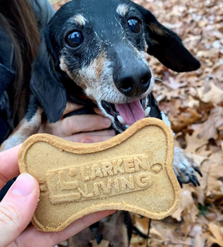 cookie_with_dog_copy.png